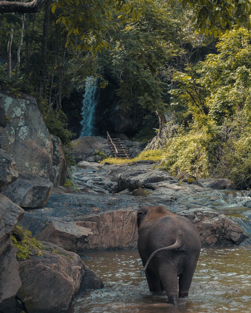 Jim Corbett Booking About 2