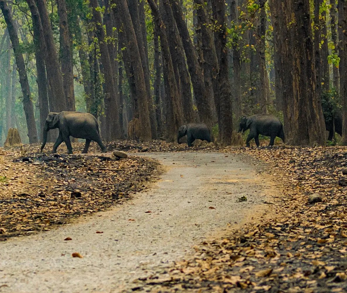 Durga Devi Zone